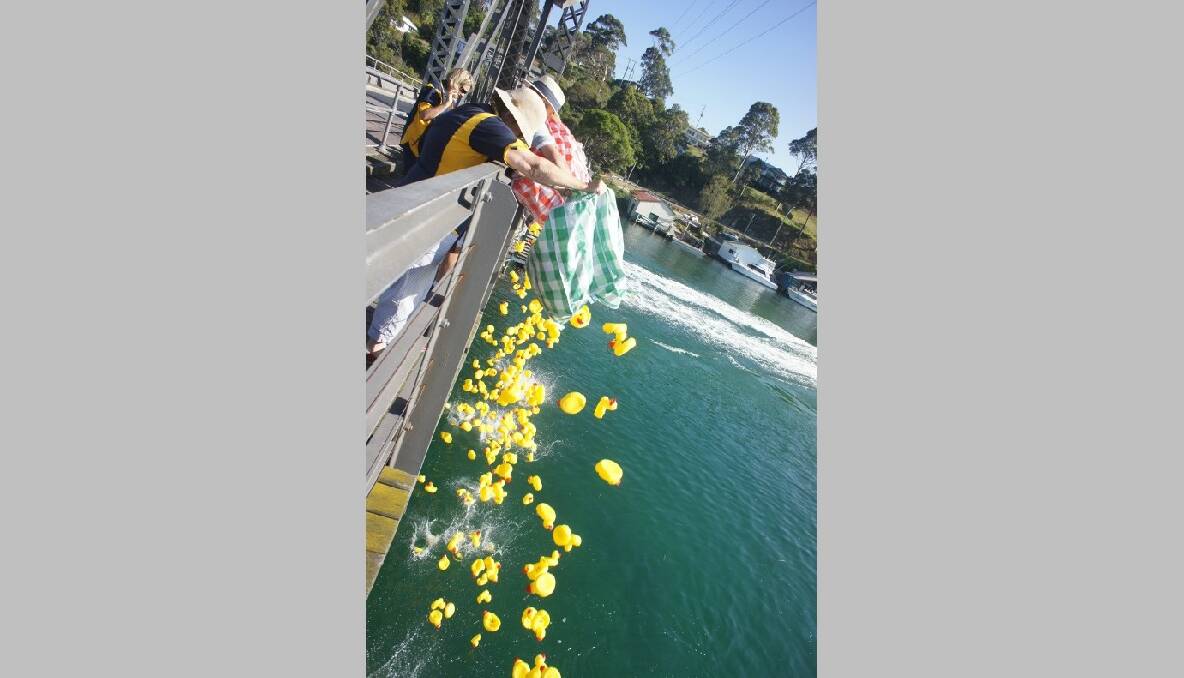 DUCK DROP: Rotary Club member Bob Antill snapped this shot of the ducks being dropped off Narooma Bridge on Australia Day. 