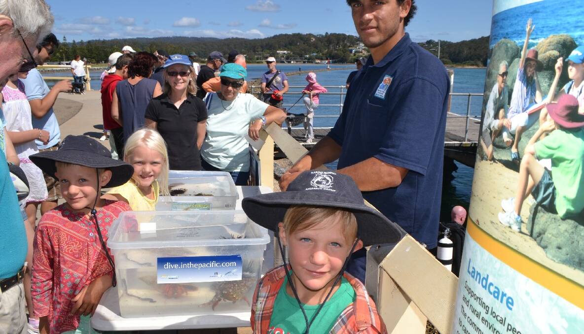 WHARF CLASSROOM: Local Narooma kids Milo Van Zyl, Jade Wilson and Max Van Zyl find out about life under the wharf with the help of Batemans Marine Park cadet ranger Zac Noel-Stranger.  