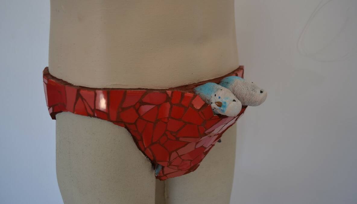 The red budgie smugglers by Jan Atkinson complete with two cheeky budgies peeking out... 