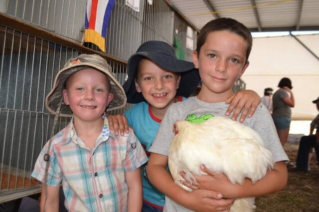 CHICKEN BOYS: Cobargo area boys Jack, Mason and Miles and Tracy the chicken that got an honorable mention.